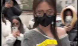 内娱吃瓜圈内人爆料,圈内人爆料背后的真相